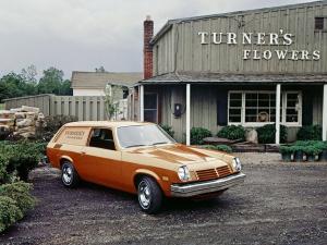 Chevrolet Vega 12-ton Panel Express 1974 года